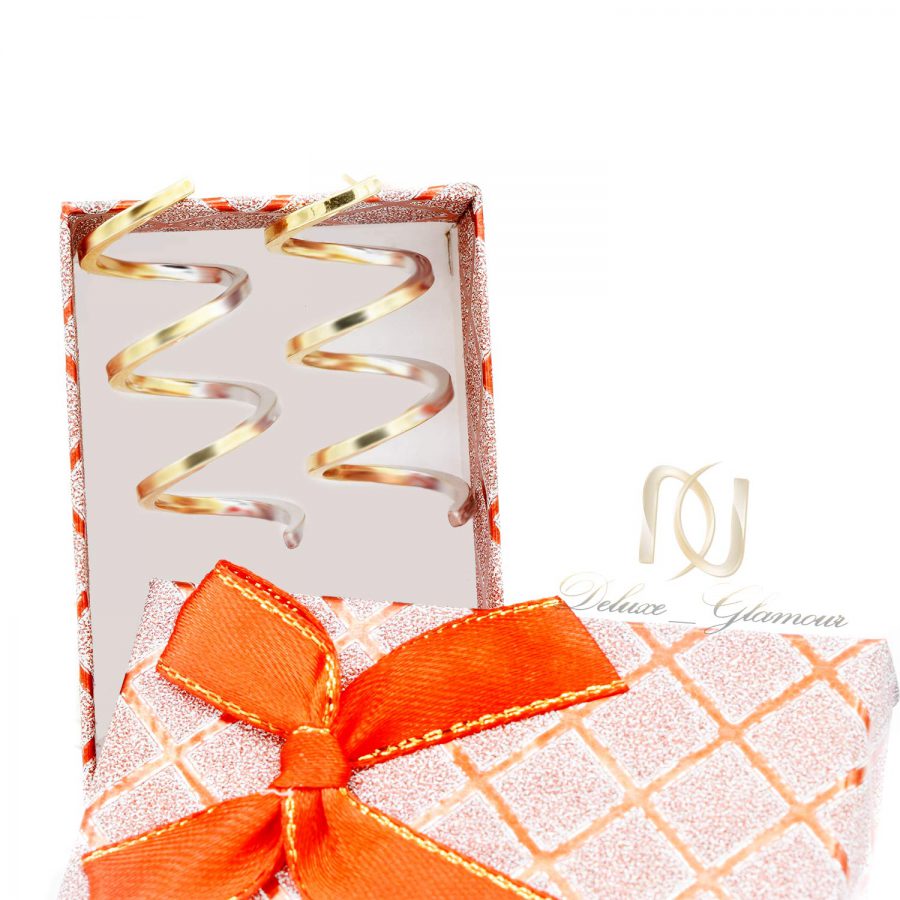 گوشواره زنانه ژوپینگ دو رنگ آویزی er-n206 از نمای دور