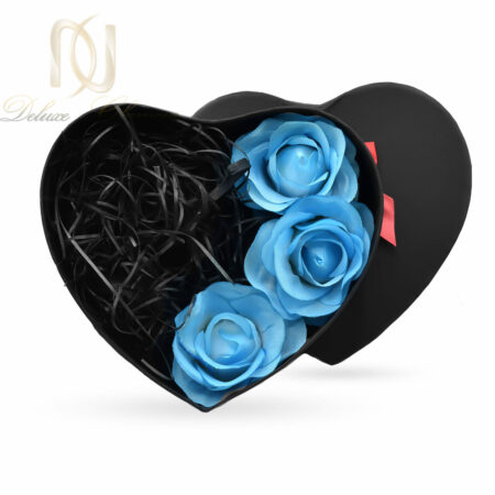 بسته بندی دایره ای bs-023