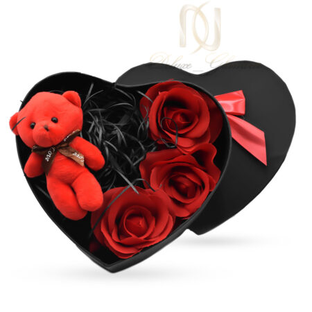 بسته بندی قلب bs-n018